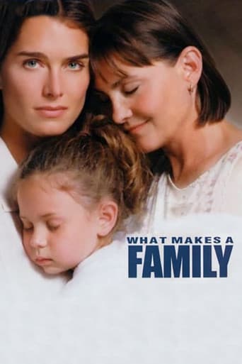 Poster de What Makes a Family