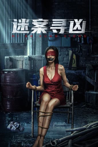 Poster de 迷案寻凶