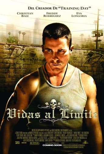 Poster de Vidas al límite