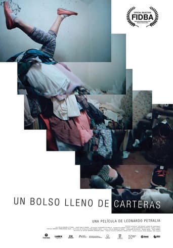 Poster de Un bolso lleno de carteras
