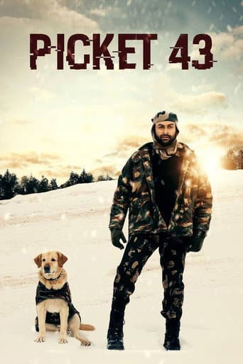 Poster de Picket 43