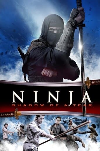 Poster de Ninja: Shadow of a Tear