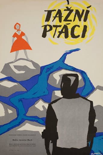 Poster de Tažní ptáci
