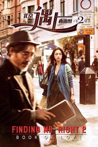 Poster de Finding Mr. Right 2