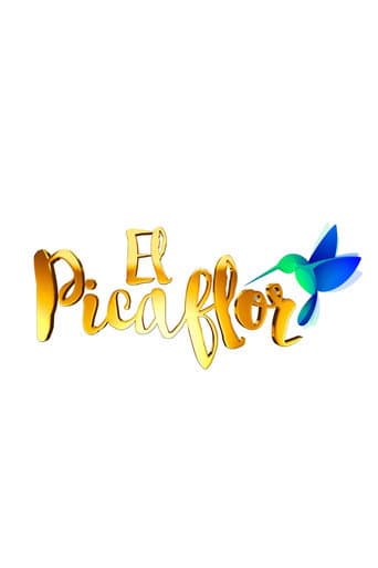 Poster de El Picaflor