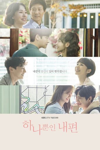 Poster de 하나뿐인 내편