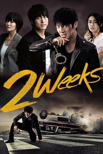 Poster de Two Weeks