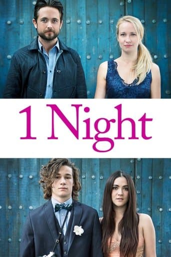 Poster de 1 Night