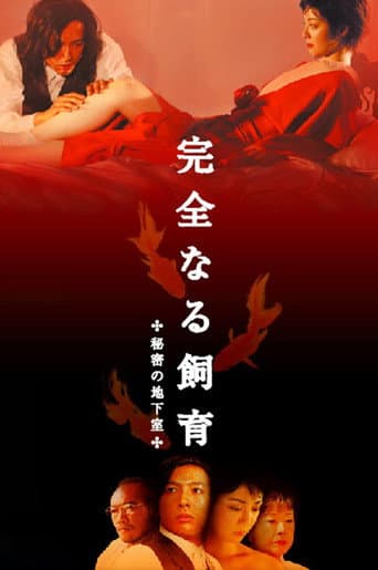 Poster de Perfect Education 4: Secret Basement