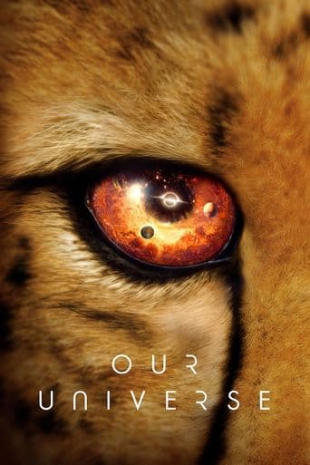 Poster de Our Universe