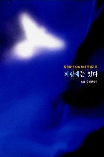 Poster de 파랑새는 있다