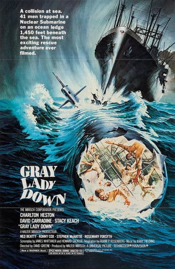 Poster de Gray Lady Down