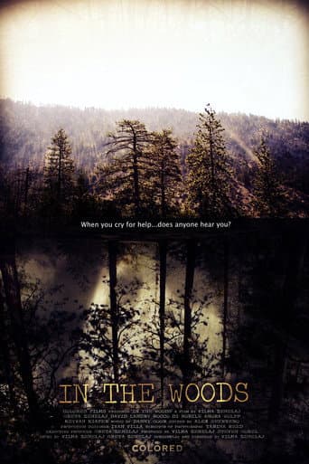 Poster de In the Woods