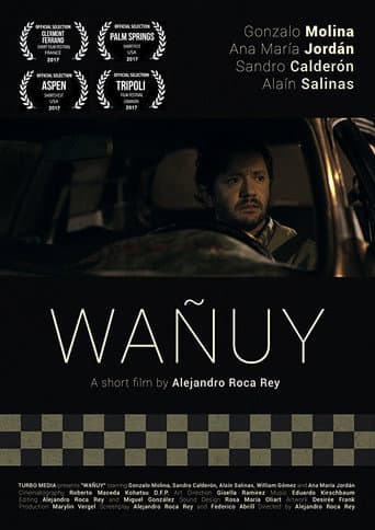 Poster de Wañuy