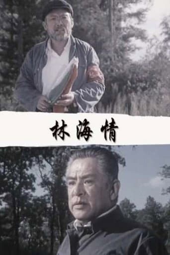 Poster de 林海情