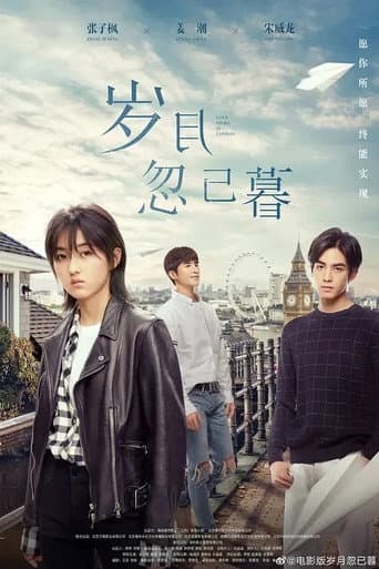 Poster de 岁月忽已暮