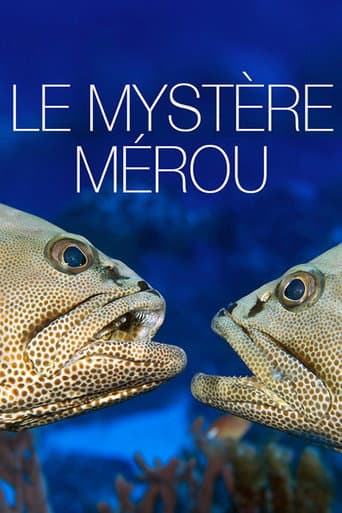 Poster de Le Mystère Mérou