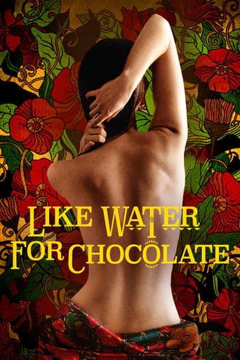 Poster de Like Water for Chocolate