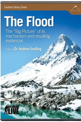 Poster de The Flood
