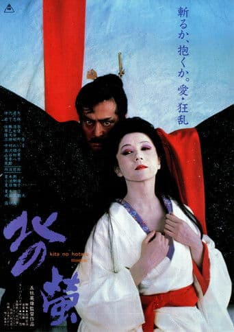 Poster de Fireflies in the North