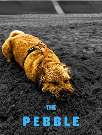 Poster de The Pebble