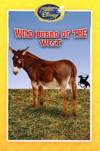 Poster de Wild Burro of the West