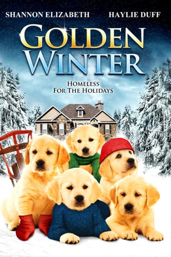 Poster de Golden Winter