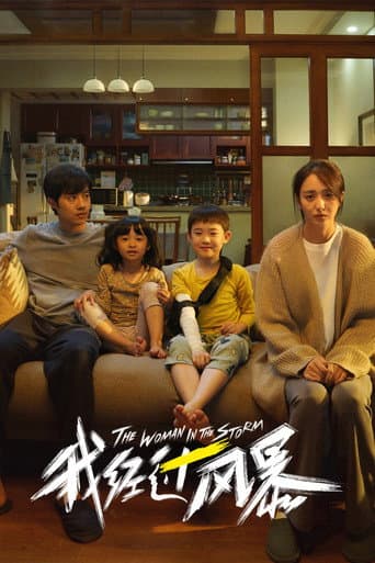 Poster de The Woman in the Storm
