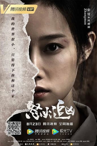 Poster de 怒火追凶