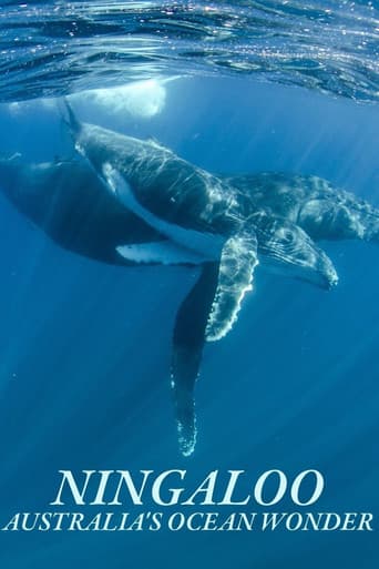 Poster de Ningaloo Nyinggulu