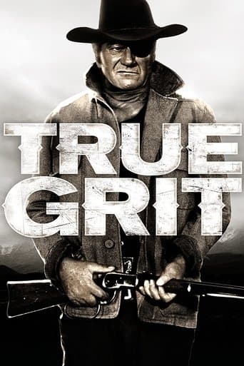 Poster de True Grit