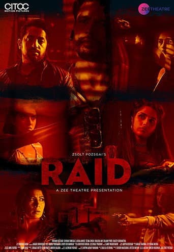 Poster de Raid