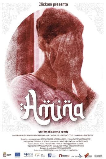 Poster de Amina
