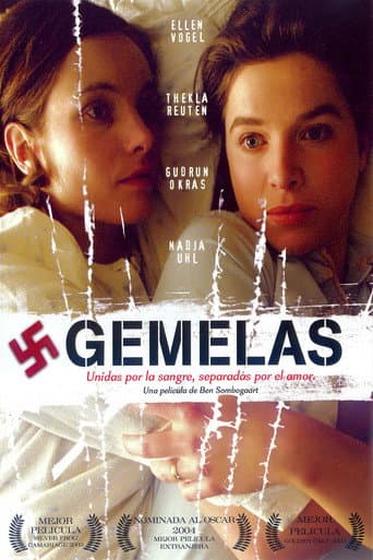 Poster de Gemelas