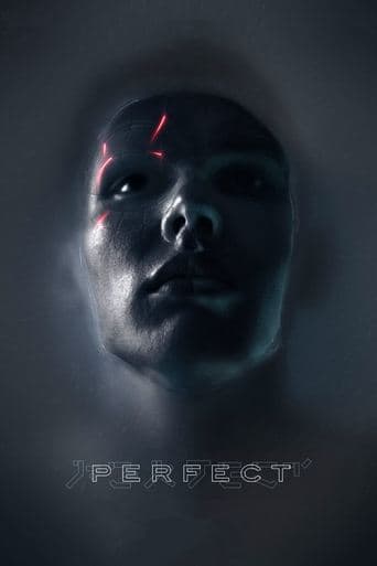 Poster de Perfect