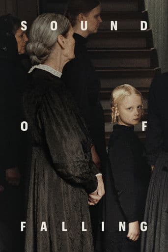 Poster de Sound of Falling