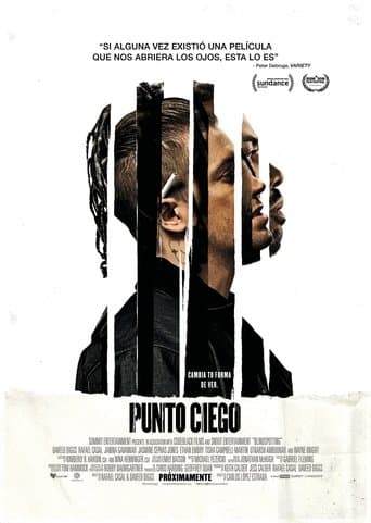 Poster de Punto ciego
