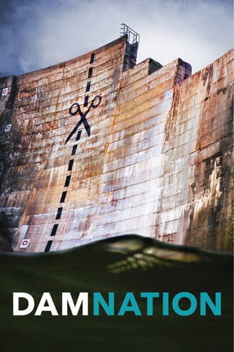 Poster de DamNation