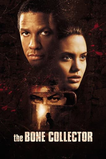 Poster de The Bone Collector