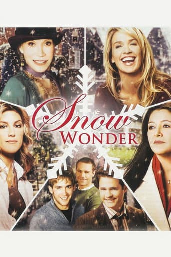 Poster de Snow Wonder