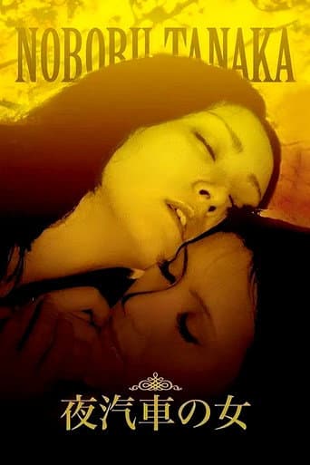 Poster de Woman on the Night Train