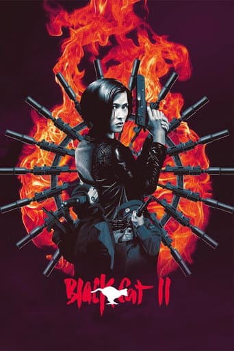 Poster de Black Cat II