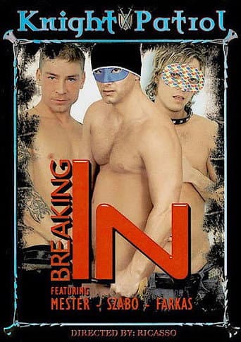 Poster de Breaking In