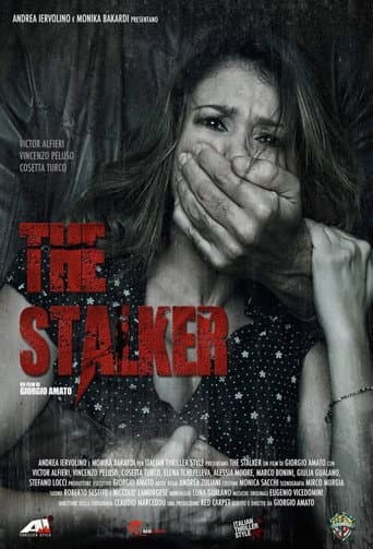 Poster de The Stalker