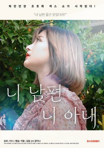 Poster de 니 남편 니 아내