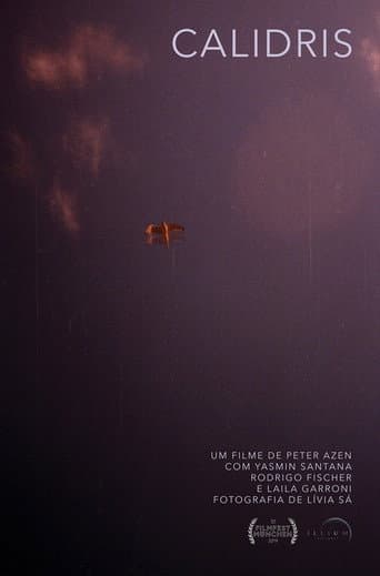 Poster de Calidris