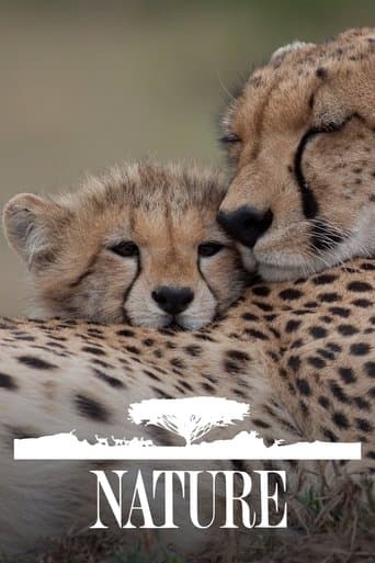 Poster de Nature