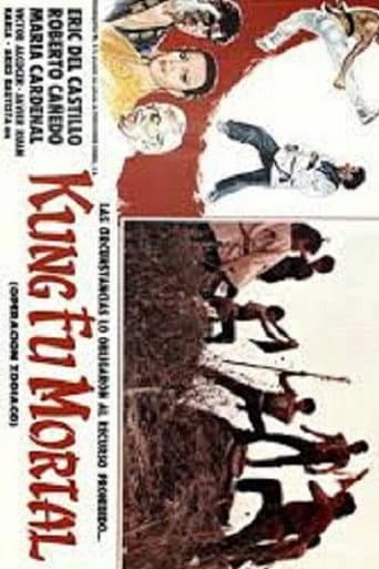 Poster de Kung fu mortal: Operación zodiaco