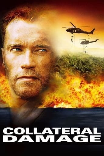 Poster de Collateral Damage