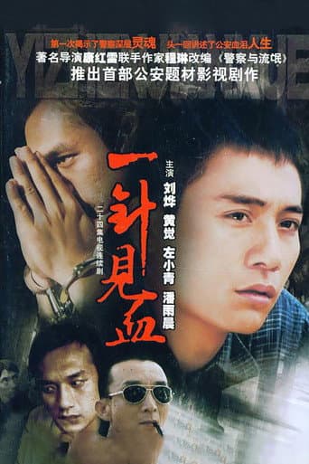 Poster de 一针见血